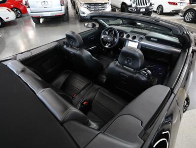 2019 Ford Mustang GT Premium Convertible   - Photo 18 - Addison, IL 60101
