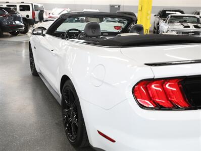 2019 Ford Mustang GT Premium   - Photo 17 - Addison, IL 60101