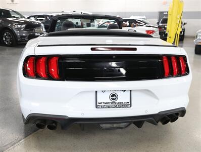 2019 Ford Mustang GT Premium   - Photo 13 - Addison, IL 60101