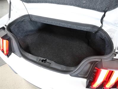 2019 Ford Mustang GT Premium   - Photo 24 - Addison, IL 60101