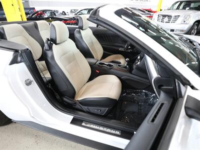 2019 Ford Mustang GT Premium   - Photo 22 - Addison, IL 60101
