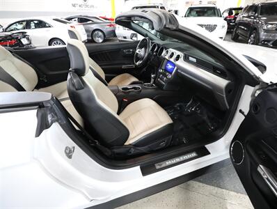 2019 Ford Mustang GT Premium   - Photo 21 - Addison, IL 60101