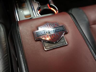 2010 Ford F-150 Harley-Davidson   - Photo 27 - Addison, IL 60101