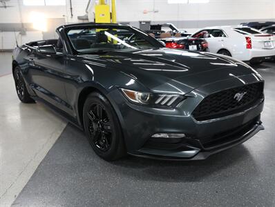 2016 Ford Mustang V6 Convertible   - Photo 7 - Addison, IL 60101