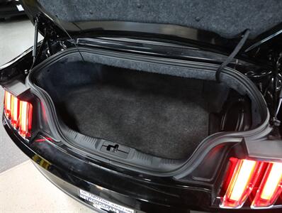 2015 Ford Mustang GT Premium Convertible   - Photo 21 - Addison, IL 60101