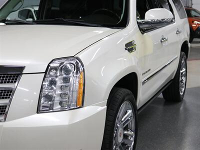 2014 Cadillac Escalade Platinum Edition AWD   - Photo 5 - Addison, IL 60101