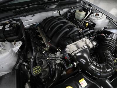 2005 Ford Mustang GT Premium   - Photo 51 - Addison, IL 60101