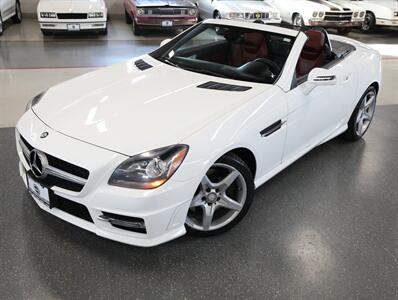 2014 Mercedes-Benz SLK SLK 250   - Photo 2 - Addison, IL 60101