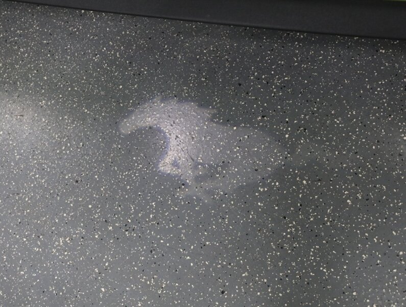 2020 Ford Mustang GT Premium Convertible - Photo 24 - Addison, IL 60101