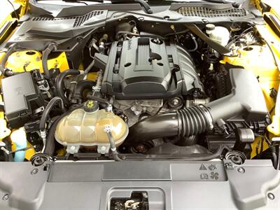 2018 Ford Mustang EcoBoost   - Photo 59 - Crest Hill, IL 60403