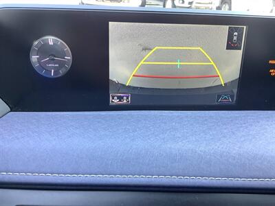 2019 Lexus UX 250h   - Photo 10 - Crest Hill, IL 60403