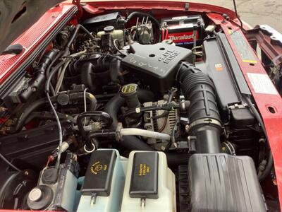 2005 Ford Ranger XLT   - Photo 47 - Crest Hill, IL 60403