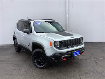 2018 Jeep Renegade Trailhawk - Photo 10 - Crest Hill, IL 60403