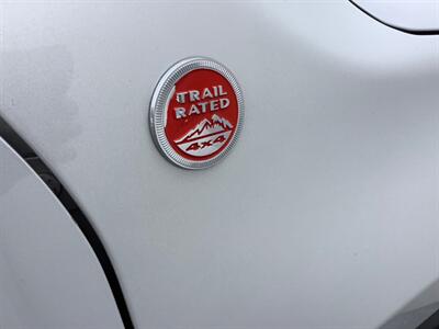 2018 Jeep Renegade Trailhawk - Photo 38 - Crest Hill, IL 60403