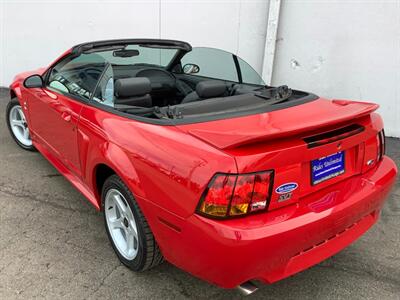 1999 Ford Mustang SVT Cobra - Photo 17 - Crest Hill, IL 60403