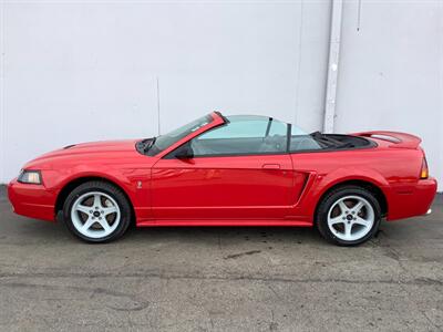 1999 Ford Mustang SVT Cobra - Photo 2 - Crest Hill, IL 60403