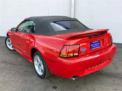 1999 Ford Mustang SVT Cobra - Photo 5 - Crest Hill, IL 60403