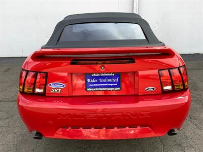 1999 Ford Mustang SVT Cobra - Photo 7 - Crest Hill, IL 60403