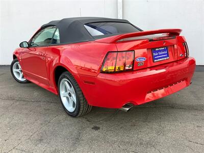 1999 Ford Mustang SVT Cobra - Photo 6 - Crest Hill, IL 60403