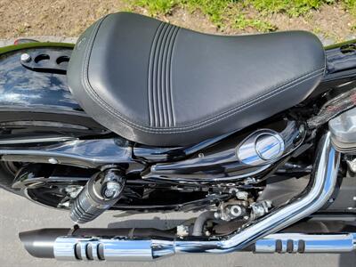 2018 Harley-Davidson Custom   - Photo 13 - Crest Hill, IL 60403