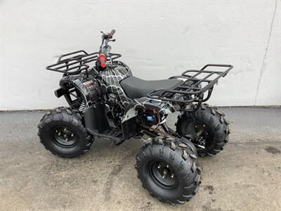 2019 Coolster ATV   - Photo 4 - Crest Hill, IL 60403