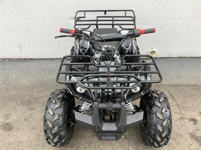 2019 Coolster ATV   - Photo 9 - Crest Hill, IL 60403