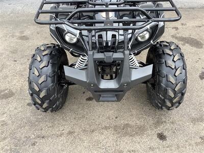 2019 Coolster ATV   - Photo 23 - Crest Hill, IL 60403