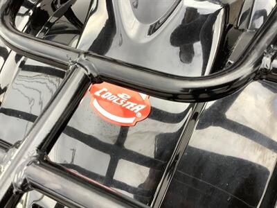 2019 Coolster ATV   - Photo 24 - Crest Hill, IL 60403
