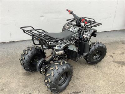 2019 Coolster ATV   - Photo 6 - Crest Hill, IL 60403