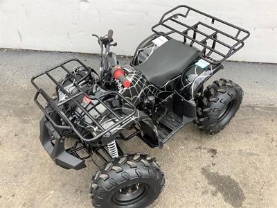 2019 Coolster ATV   - Photo 2 - Crest Hill, IL 60403