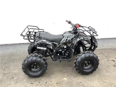 2019 Coolster ATV   - Photo 7 - Crest Hill, IL 60403