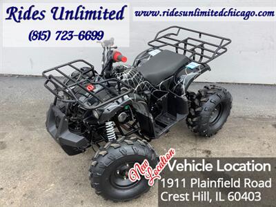 2019 Coolster ATV   - Photo 1 - Crest Hill, IL 60403