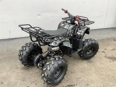 2019 Coolster ATV   - Photo 6 - Crest Hill, IL 60403