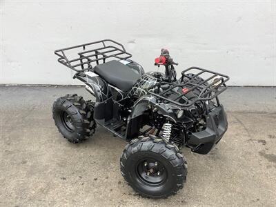 2019 Coolster ATV   - Photo 8 - Crest Hill, IL 60403