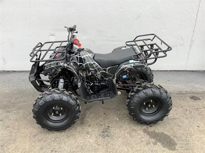 2019 Coolster ATV   - Photo 3 - Crest Hill, IL 60403