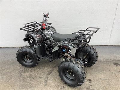 2019 Coolster ATV   - Photo 4 - Crest Hill, IL 60403