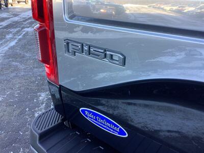 2015 Ford F-150 King Ranch - Photo 39 - Crest Hill, IL 60403