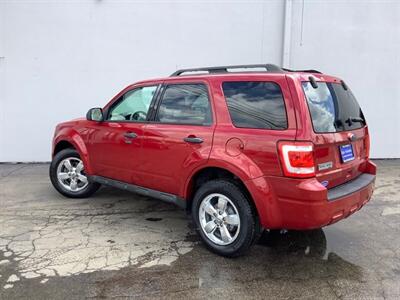 2010 Ford Escape XLT   - Photo 4 - Crest Hill, IL 60403