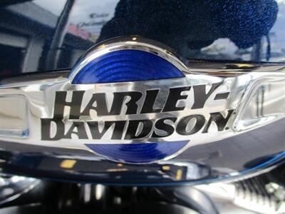 2013 Harley Davidson Sportster 1200 Custom - Photo 19 - Crest Hill, IL 60403