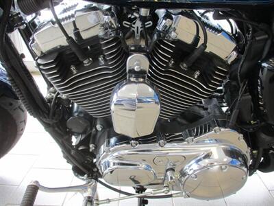 2013 Harley Davidson Sportster 1200 Custom - Photo 13 - Crest Hill, IL 60403