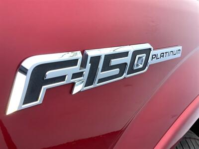 2010 Ford F-150 Platinum   - Photo 20 - Crest Hill, IL 60403
