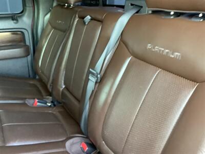 2010 Ford F-150 Platinum   - Photo 15 - Crest Hill, IL 60403