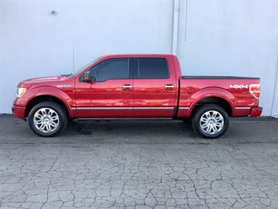 2010 Ford F-150 Platinum   - Photo 6 - Crest Hill, IL 60403