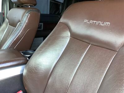 2010 Ford F-150 Platinum   - Photo 31 - Crest Hill, IL 60403