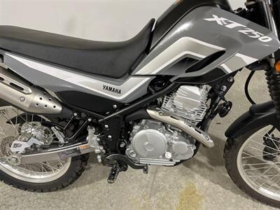 2024 Yamaha XT 250 - Photo 3 - Amarillo, TX 79118
