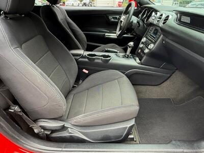 2016 Ford Mustang V6   - Photo 14 - Charlotte, NC 28227