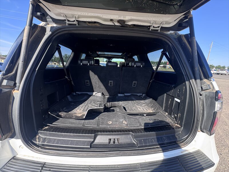 2020 Ford Expedition MAX Limited - Photo 9 - Brainerd, MN 56401