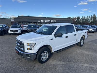 2015 Ford F-150 XLT Truck