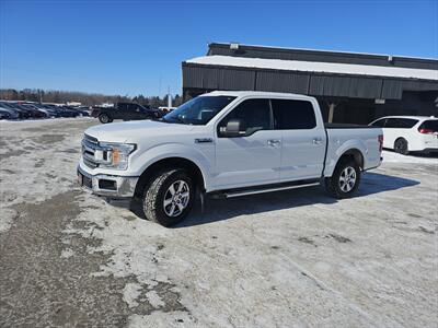 2019 Ford F-150 XLT Truck