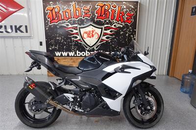 2024 Kawasaki Ninja 500   - Photo 1 - Kingman, KS 67068